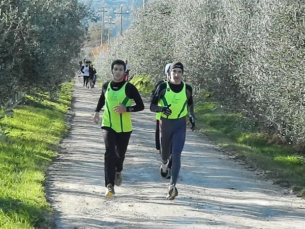 Premi per vedere l'immagine alla massima grandezza