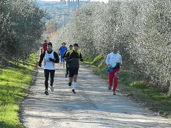 Premi per vedere l'immagine alla massima grandezza