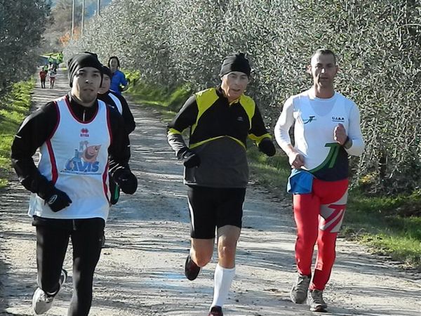 Premi per vedere l'immagine alla massima grandezza