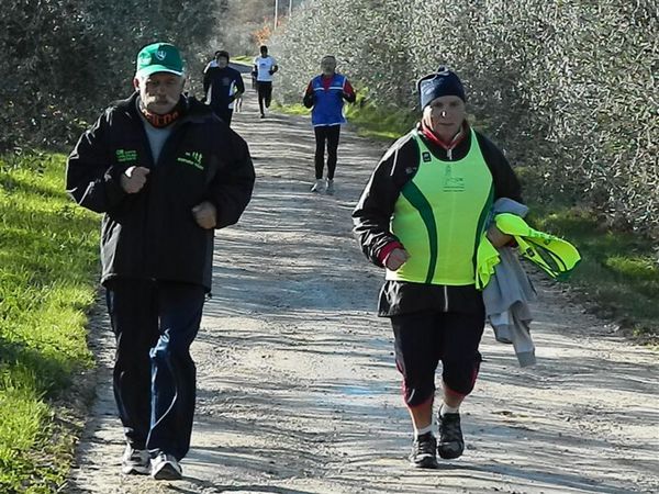 Premi per vedere l'immagine alla massima grandezza