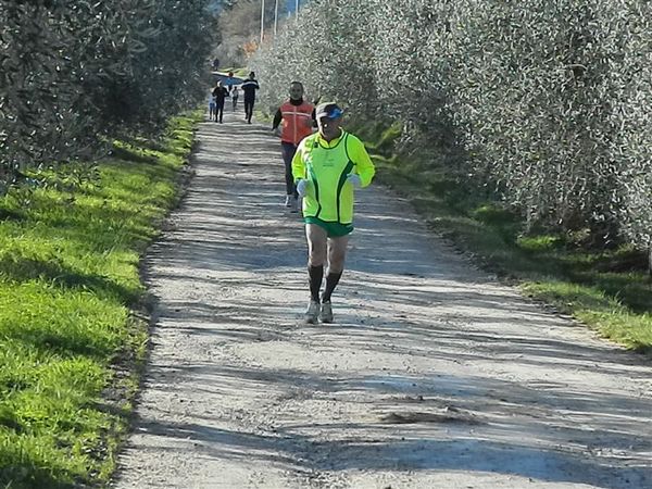 Premi per vedere l'immagine alla massima grandezza