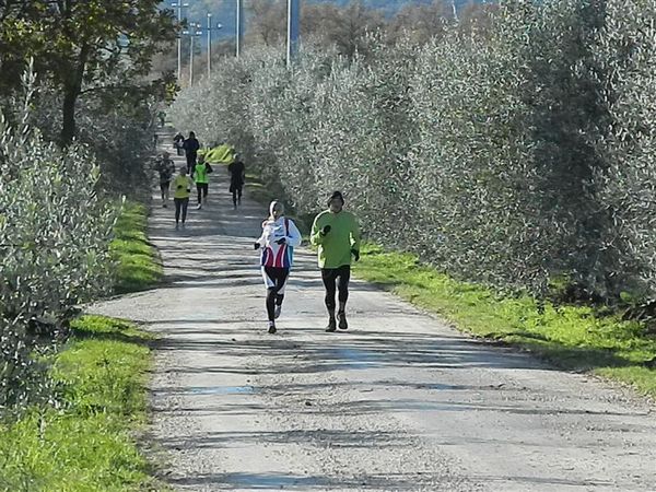 Premi per vedere l'immagine alla massima grandezza