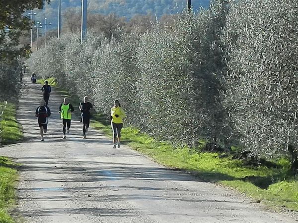 Premi per vedere l'immagine alla massima grandezza