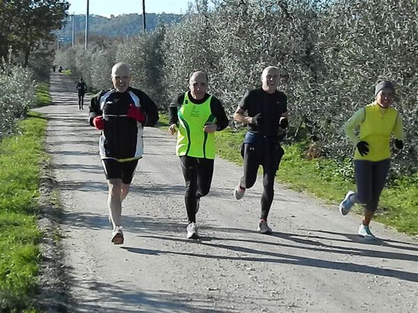 Premi per vedere l'immagine alla massima grandezza