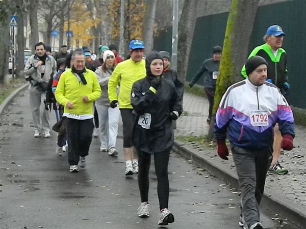 Premi per vedere l'immagine alla massima grandezza