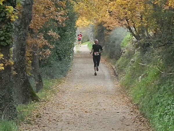 Premi per vedere l'immagine alla massima grandezza