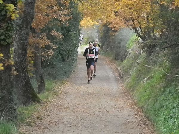 Premi per vedere l'immagine alla massima grandezza