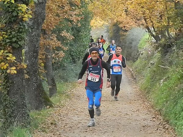 Premi per vedere l'immagine alla massima grandezza