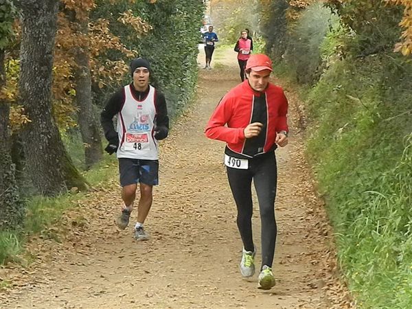 Premi per vedere l'immagine alla massima grandezza