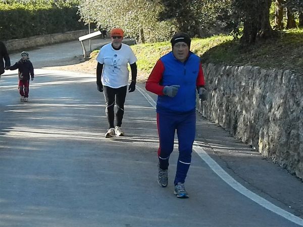 Premi per vedere l'immagine alla massima grandezza