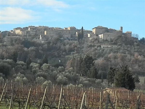 Premi per vedere l'immagine alla massima grandezza