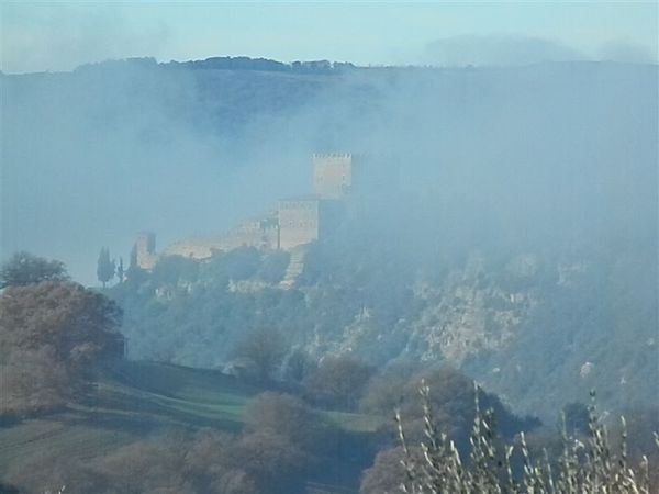 Premi per vedere l'immagine alla massima grandezza