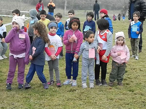 Premi per vedere l'immagine alla massima grandezza