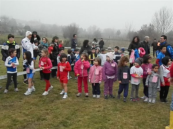 Premi per vedere l'immagine alla massima grandezza