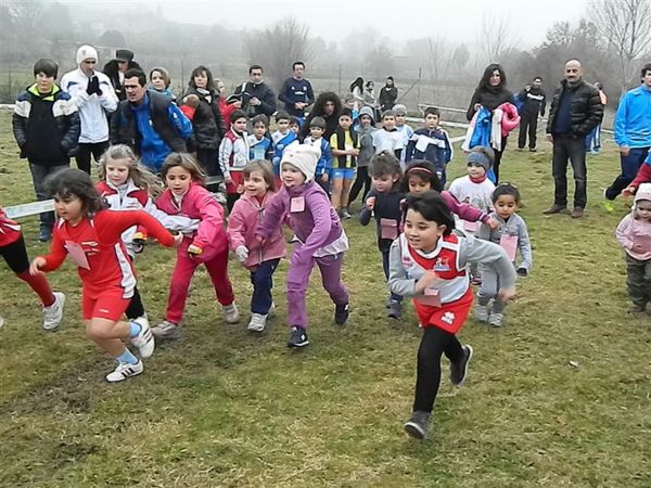 Premi per vedere l'immagine alla massima grandezza