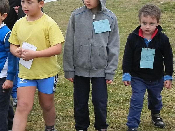 Premi per vedere l'immagine alla massima grandezza