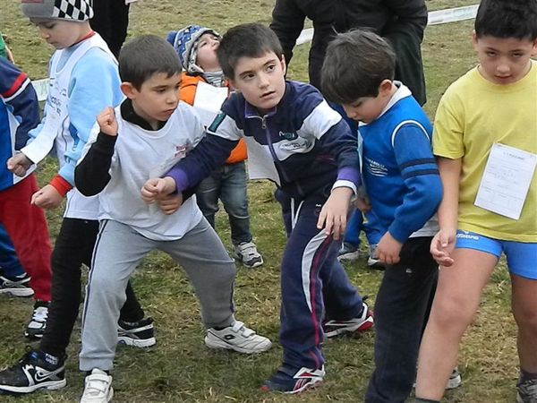 Premi per vedere l'immagine alla massima grandezza