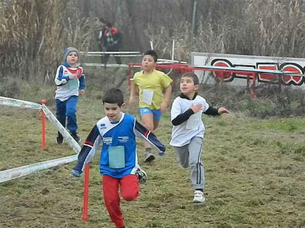 Premi per vedere l'immagine alla massima grandezza