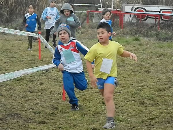 Premi per vedere l'immagine alla massima grandezza