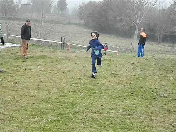 Premi per vedere l'immagine alla massima grandezza