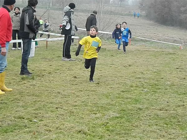 Premi per vedere l'immagine alla massima grandezza