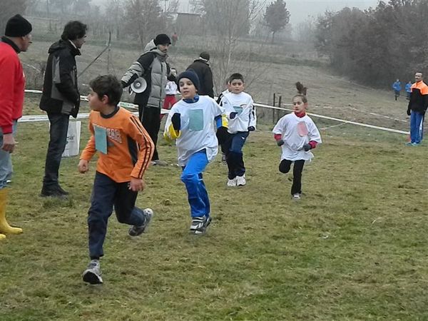 Premi per vedere l'immagine alla massima grandezza