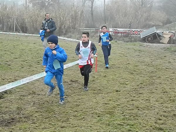 Premi per vedere l'immagine alla massima grandezza