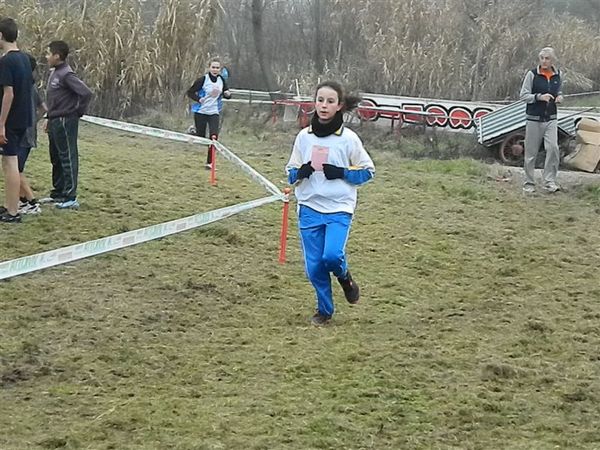 Premi per vedere l'immagine alla massima grandezza