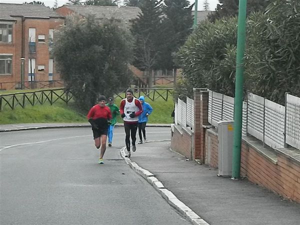 Premi per vedere l'immagine alla massima grandezza