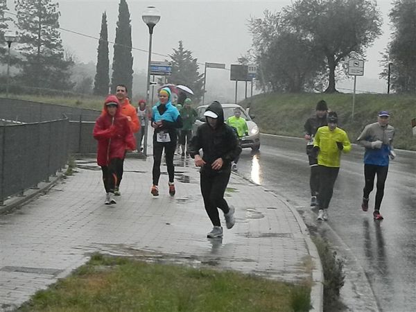 Premi per vedere l'immagine alla massima grandezza