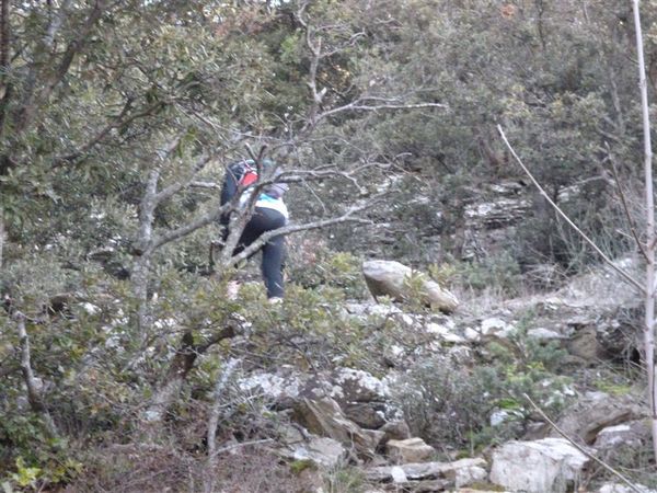 Premi per vedere l'immagine alla massima grandezza