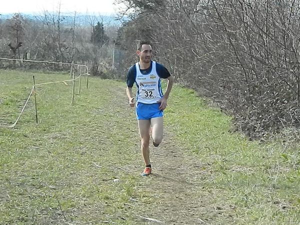 Premi per vedere l'immagine alla massima grandezza