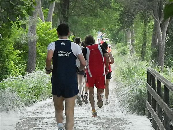 Premi per vedere l'immagine alla massima grandezza