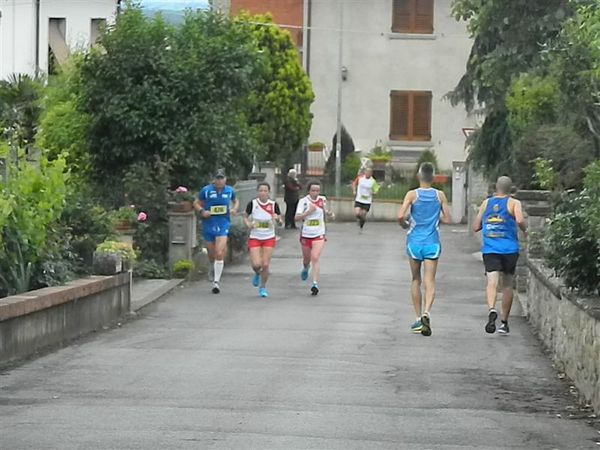 Premi per vedere l'immagine alla massima grandezza