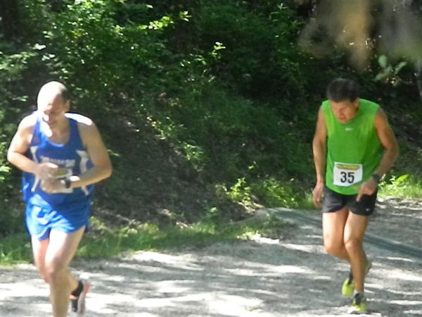 Premi per vedere l'immagine alla massima grandezza