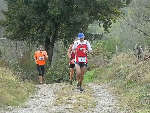 Premi per vedere l'immagine alla massima grandezza