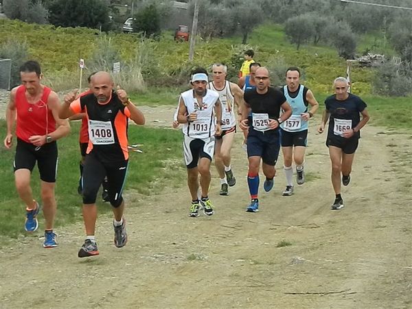 Premi per vedere l'immagine alla massima grandezza