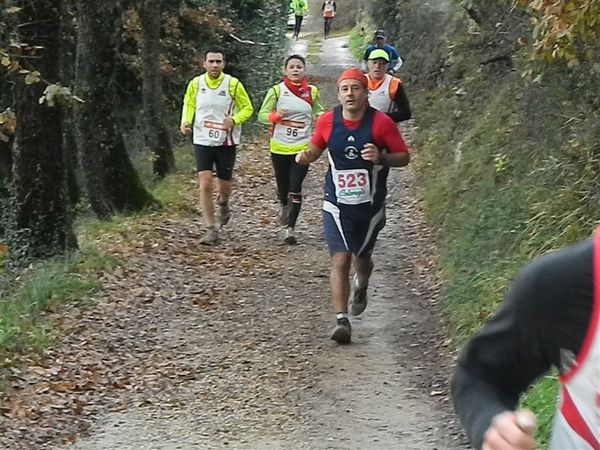 Premi per vedere l'immagine alla massima grandezza