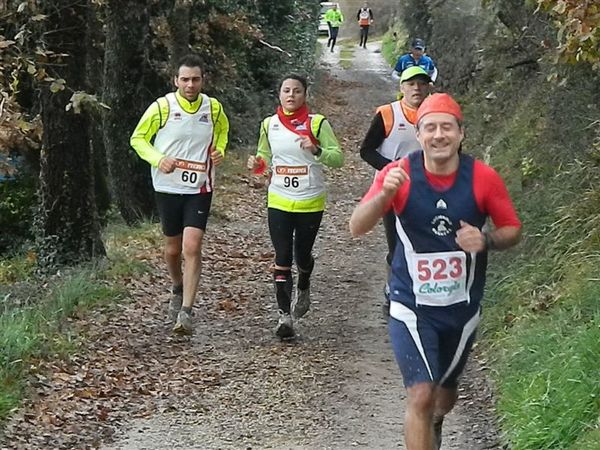 Premi per vedere l'immagine alla massima grandezza