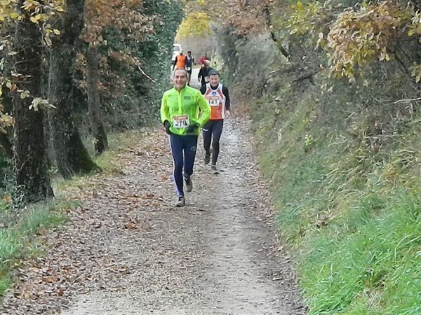 Premi per vedere l'immagine alla massima grandezza