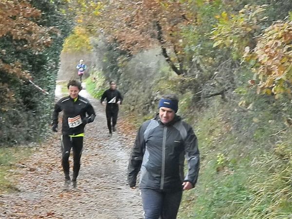 Premi per vedere l'immagine alla massima grandezza