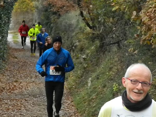 Premi per vedere l'immagine alla massima grandezza