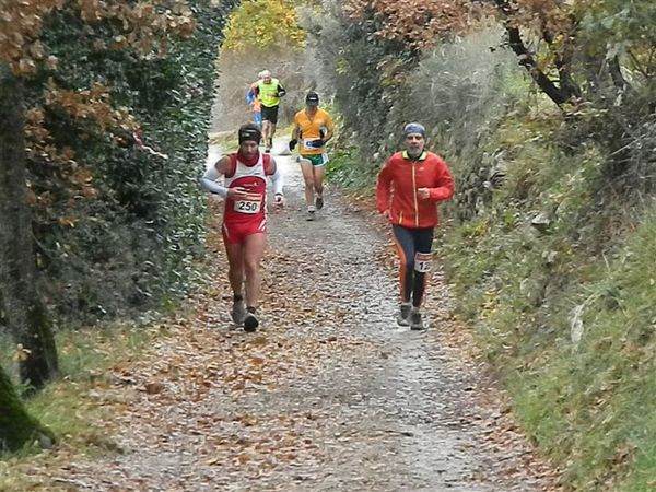 Premi per vedere l'immagine alla massima grandezza