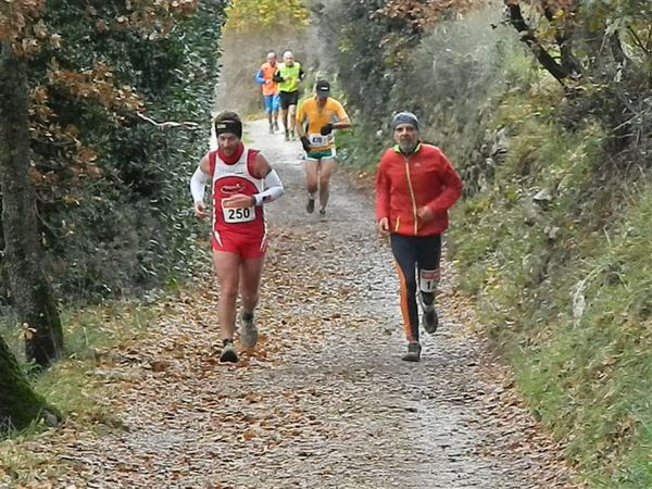 Premi per vedere l'immagine alla massima grandezza