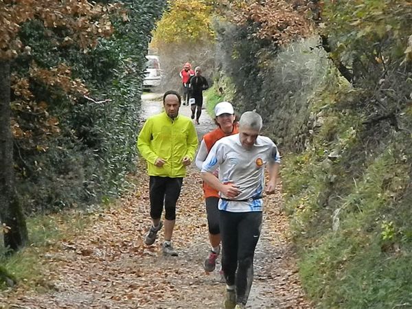 Premi per vedere l'immagine alla massima grandezza