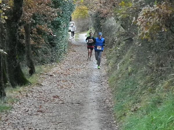 Premi per vedere l'immagine alla massima grandezza