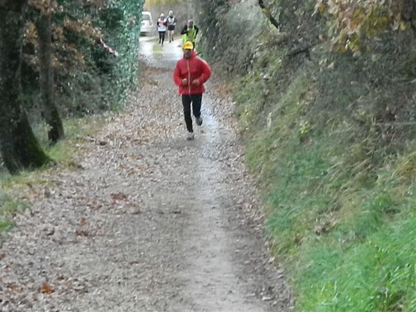 Premi per vedere l'immagine alla massima grandezza