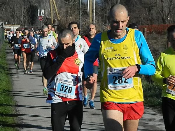 Premi per vedere l'immagine alla massima grandezza