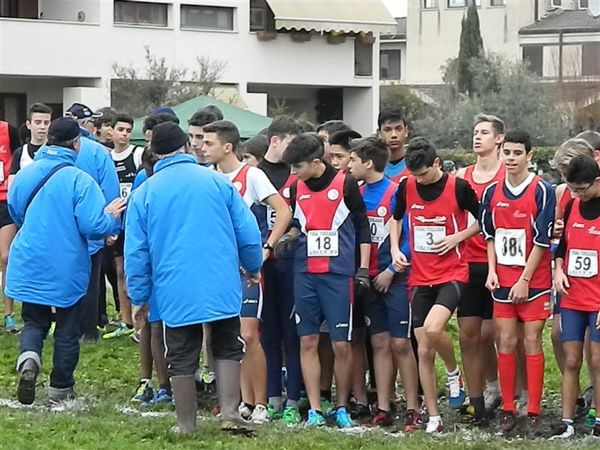 Premi per vedere l'immagine alla massima grandezza