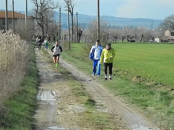 Premi per vedere l'immagine alla massima grandezza